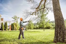 Best Storm Damage Tree Cleanup  in On Top Of The World Designated Place, FL